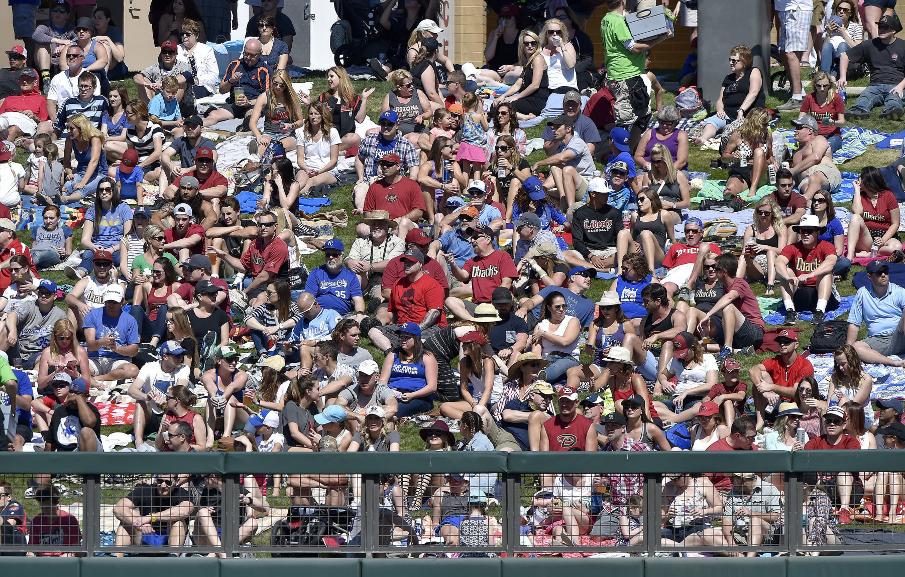 2. Cactus League Baseball, Ariz.